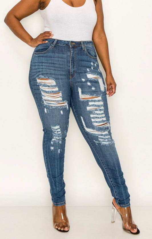 Plus Highrise Curvy Skinny Jeans