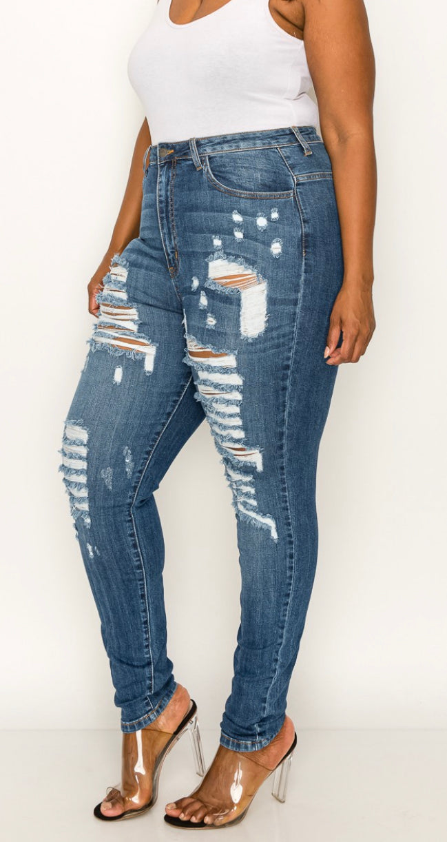 Plus Highrise Curvy Skinny Jeans