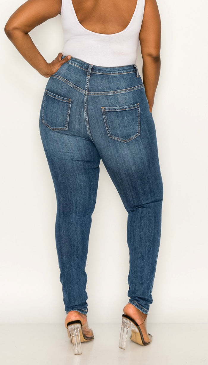 Plus Highrise Curvy Skinny Jeans